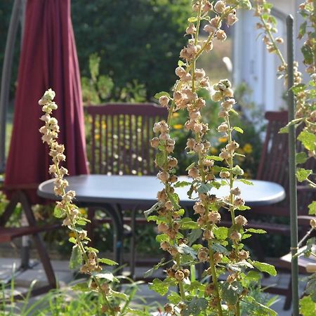 Feriendomizil-Usetom Villa Ückeritz Buitenkant foto